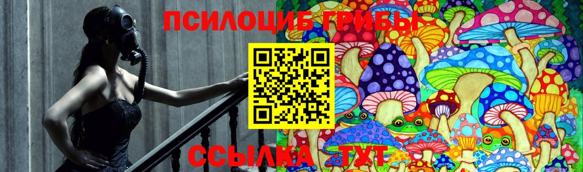 Железноводск  Галлюциногенные грибы Cubensis  Вход с VPN  купить наркотик  Галлюциногенные грибы Magic Shrooms 