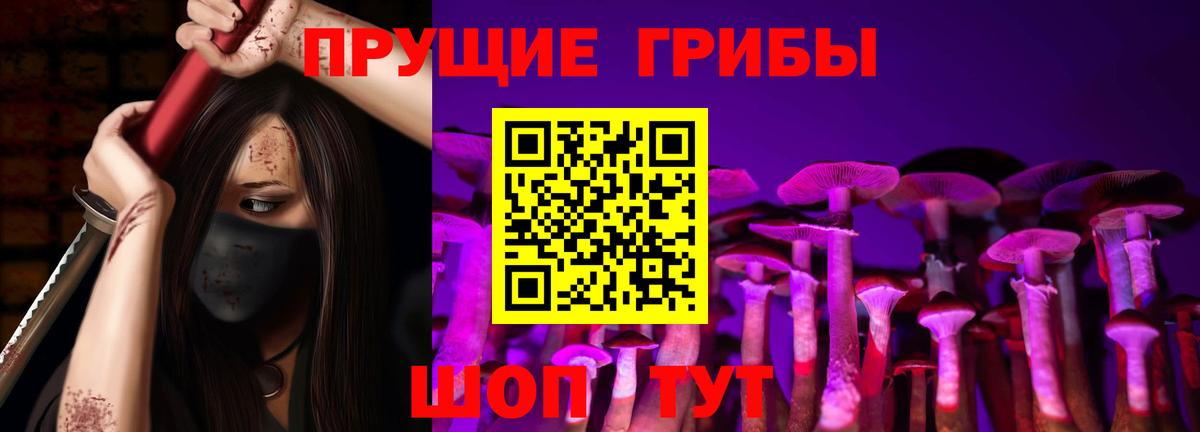 Галлюциногенные грибы GOLDEN TEACHER Железноводск